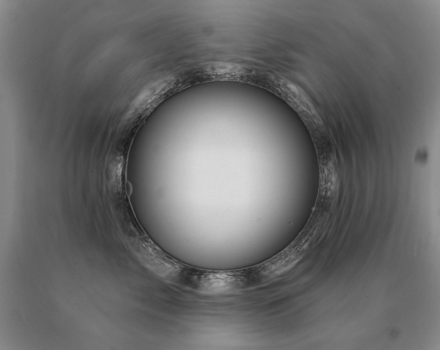 X0000091070717200708061302