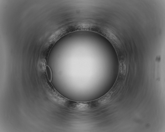 X0000091070718200708061302
