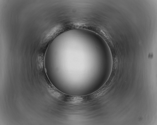 X0000091070719200708061302