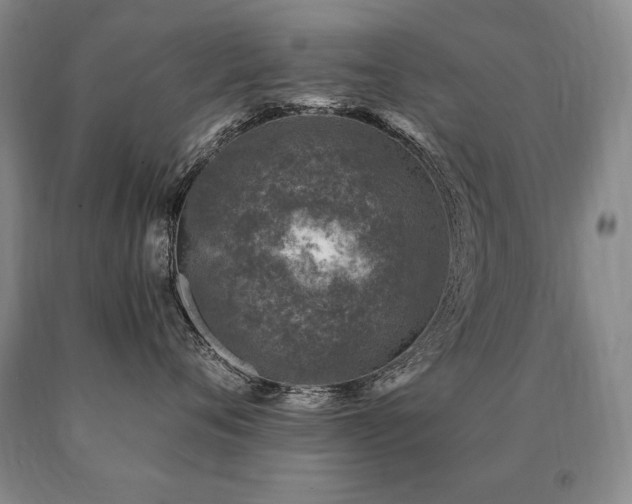 X0000091070720200708061302