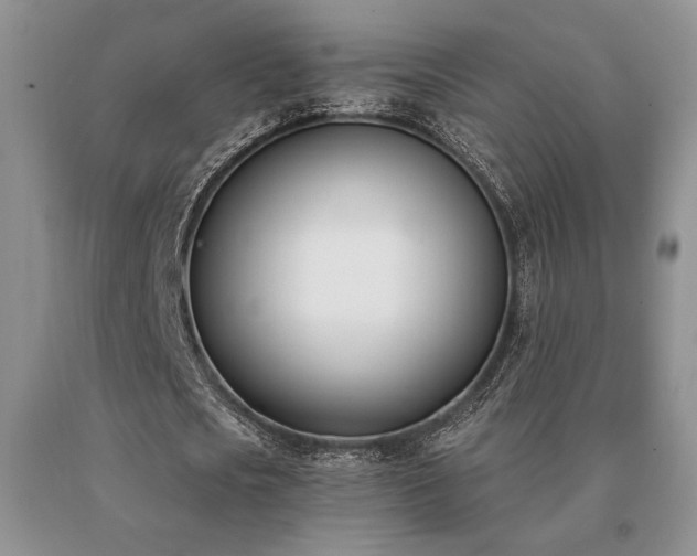 X0000091070721200708061301