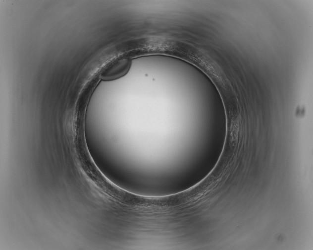 X0000091070722200708061301