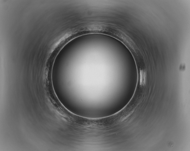 X0000091070723200708061301