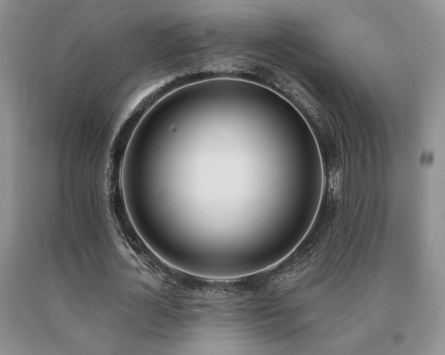 X0000091070724200708061301