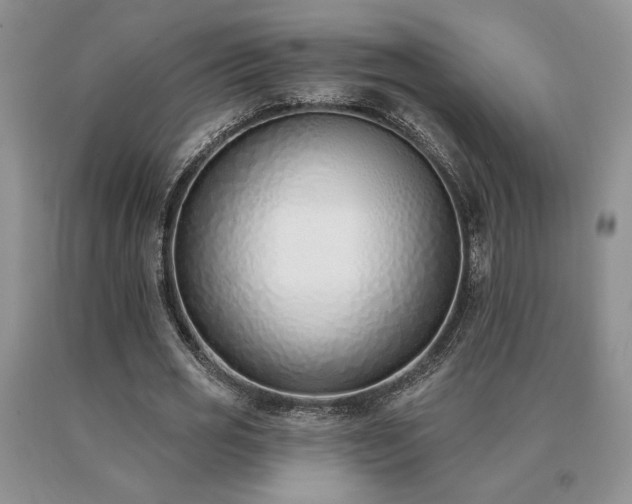 X0000091070725200708061301