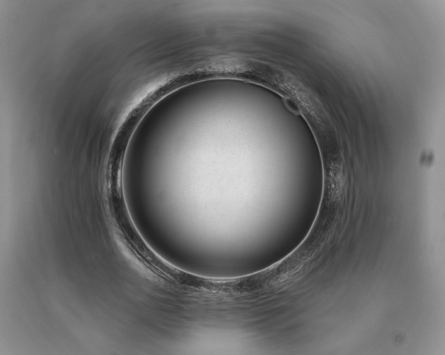 X0000091070726200708061301