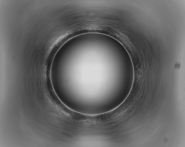 X0000091070727200708061301