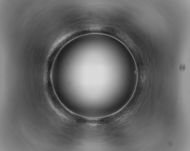 X0000091070728200708061301