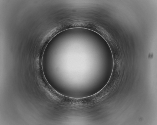 X0000091070729200708061301