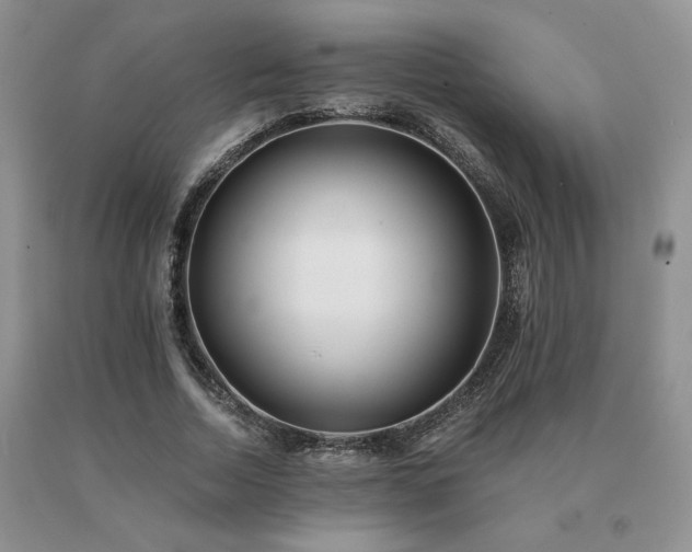 X0000091070730200708061301