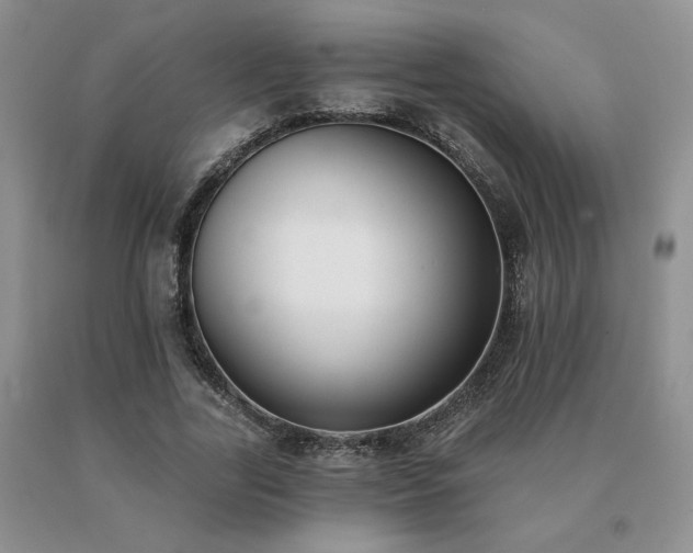 X0000091070731200708061301