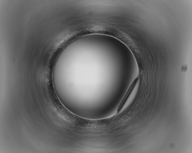 X0000091070732200708061301