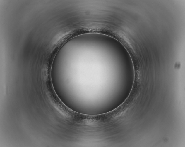 X0000091070733200708061301