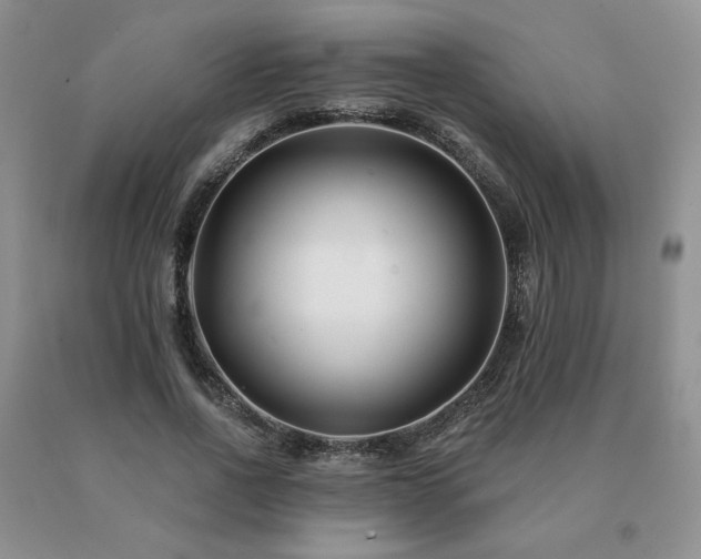 X0000091070734200708061301