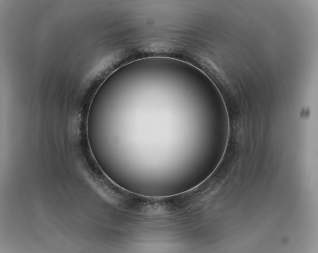 X0000091070735200708061301