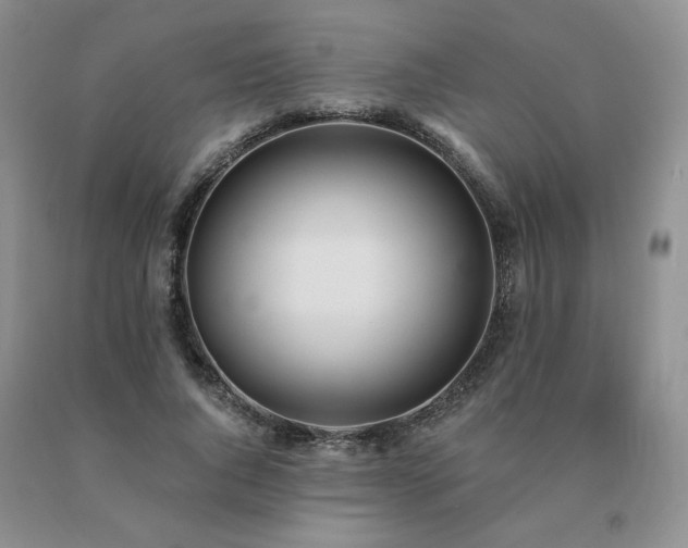 X0000091070736200708061301