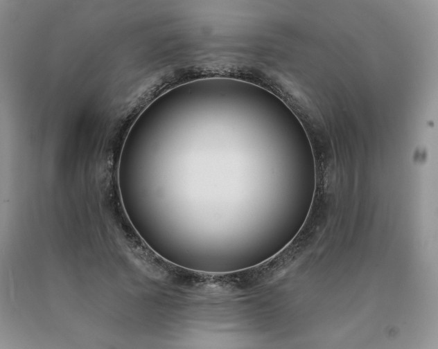 X0000091070737200708061301