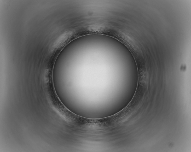X0000091070738200708061301