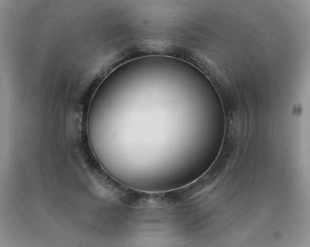 X0000091070739200708061301