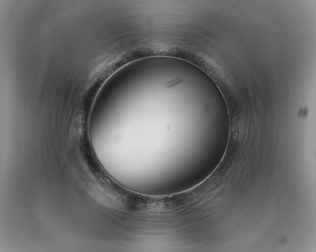 X0000091070740200708061301