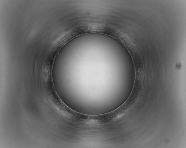 X0000091070741200708061301