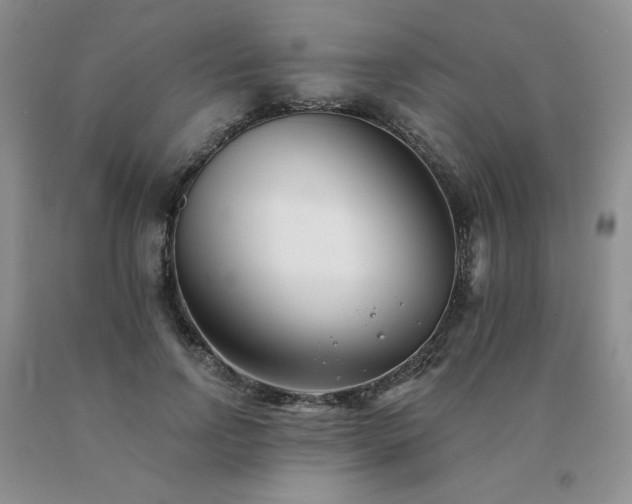 X0000091070742200708061301