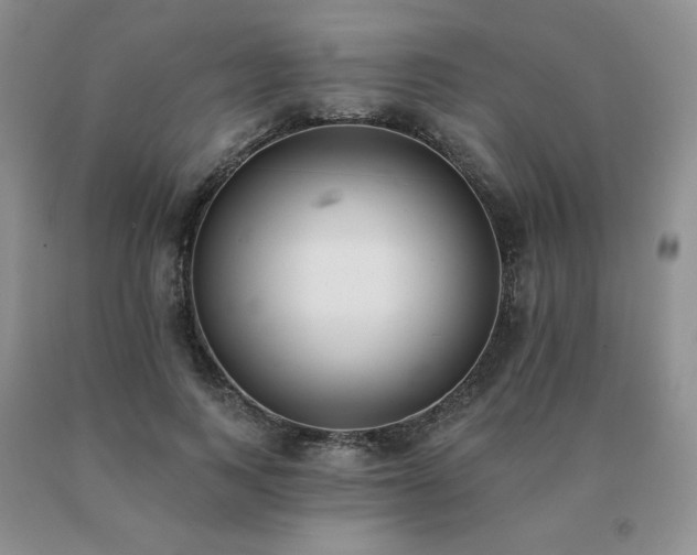 X0000091070743200708061301