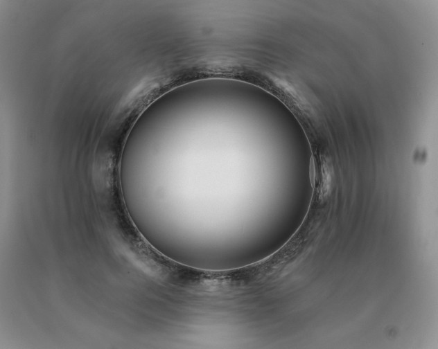 X0000091070744200708061301