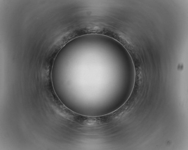 X0000091070745200708061301
