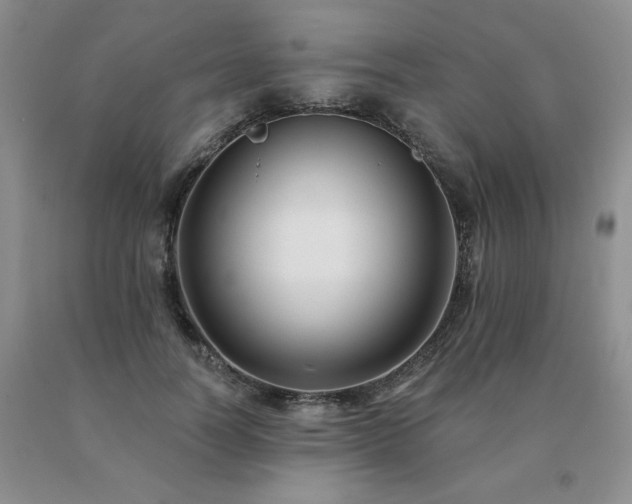 X0000091070746200708061301
