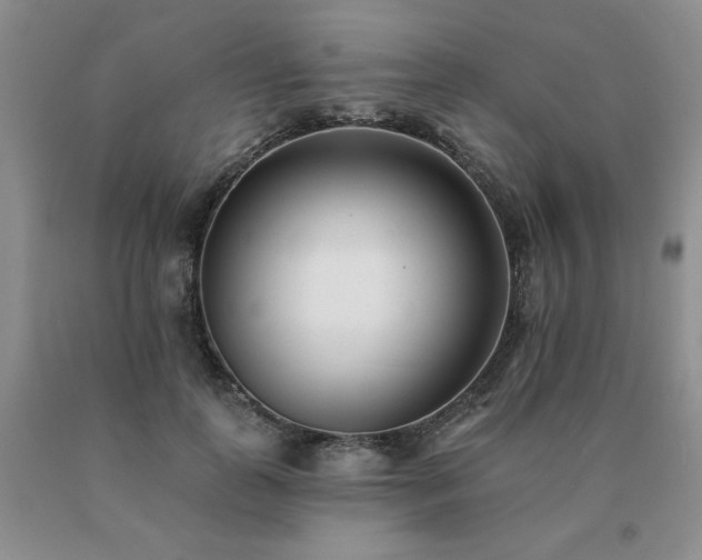 X0000091070747200708061301
