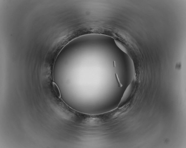 X0000091070748200708061301