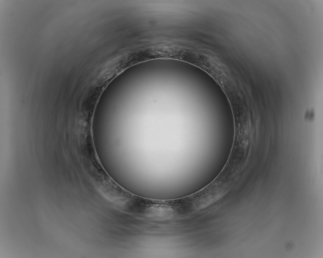 X0000091070749200708061301
