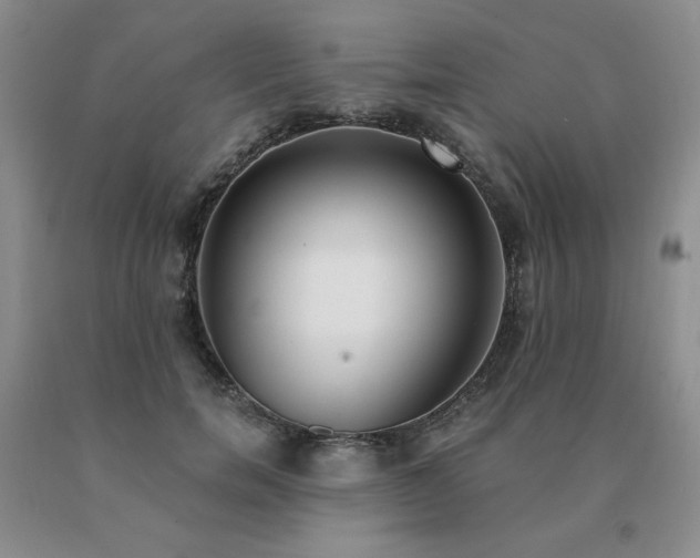X0000091070750200708061301