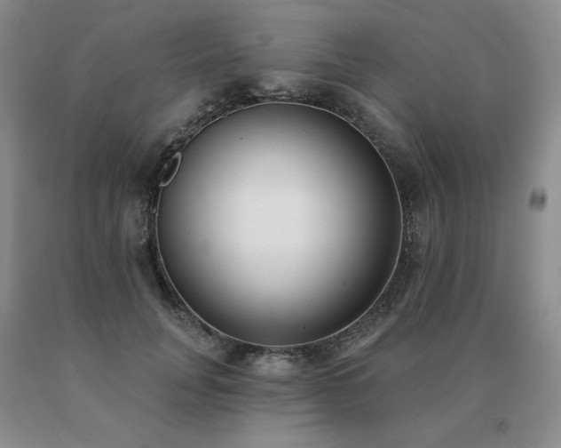X0000091070751200708061301