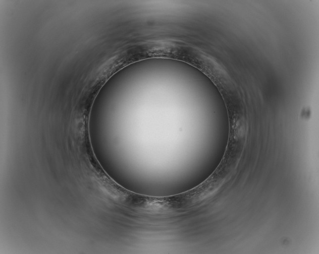 X0000091070753200708061301