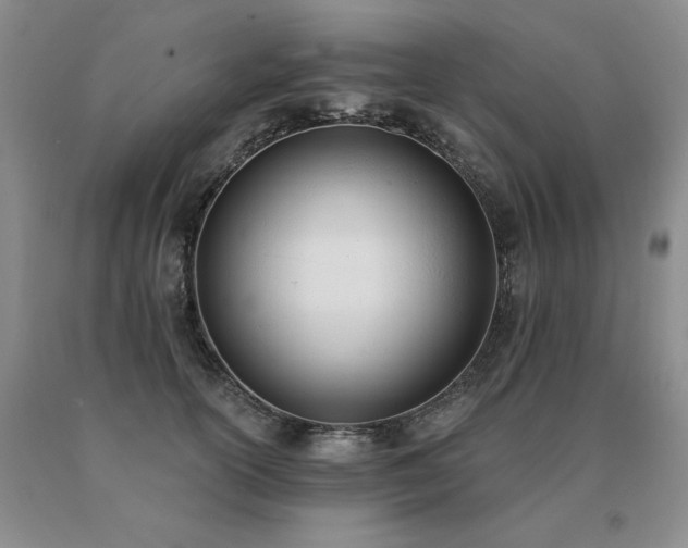 X0000091070754200708061301