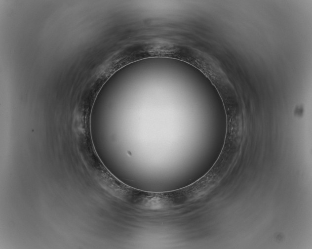 X0000091070755200708061301