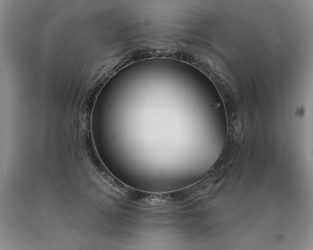 X0000091070756200708061301