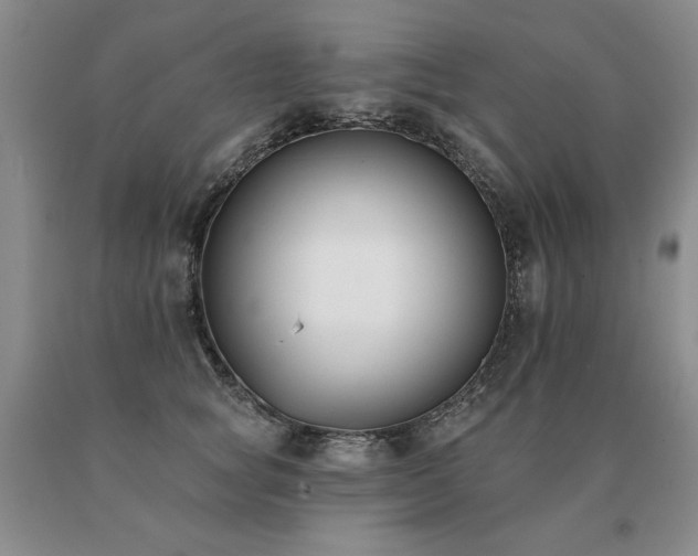 X0000091070757200708061301