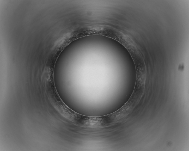 X0000091070758200708061301