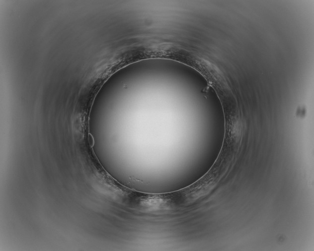 X0000091070759200708061301