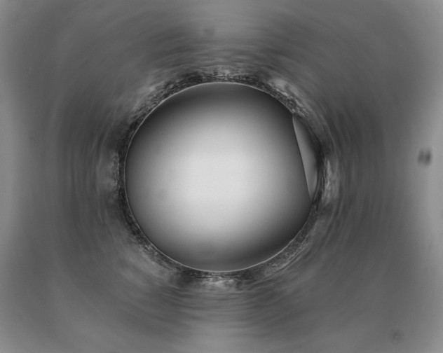 X0000091070760200708061301