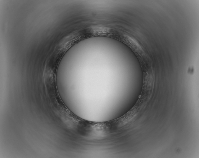 X0000091070761200708061301