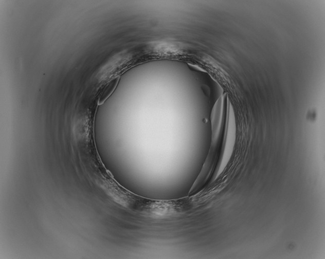 X0000091070762200708061301