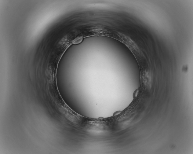 X0000091070763200708061301