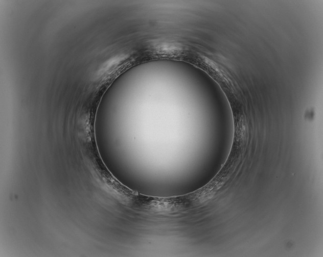 X0000091070764200708061301