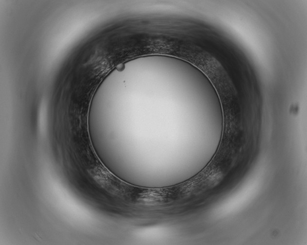 X0000091070765200708061301