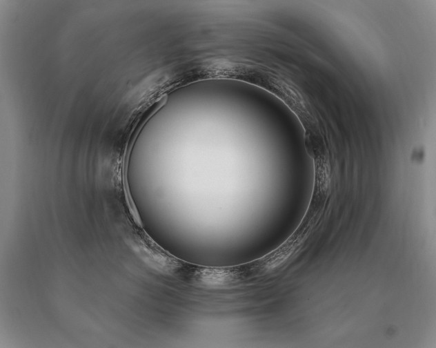 X0000091070766200708061301