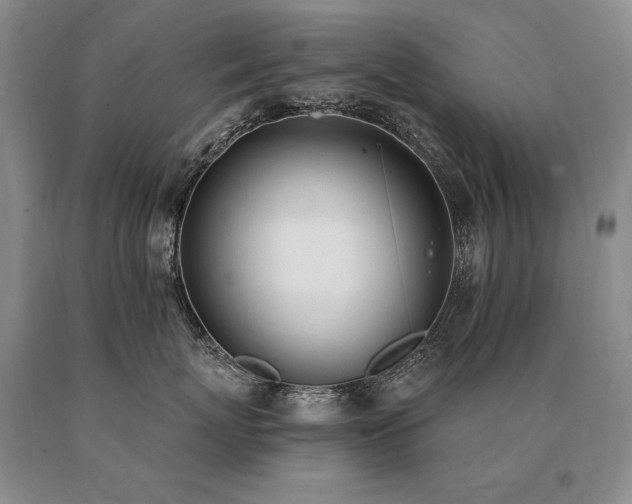 X0000091070767200708061302
